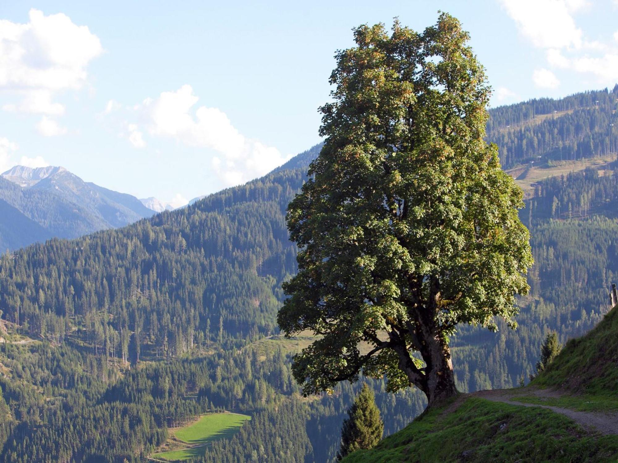 Apartment In Sankt Johann Im Pongau Near Ski Area ヴァークライン エクステリア 写真